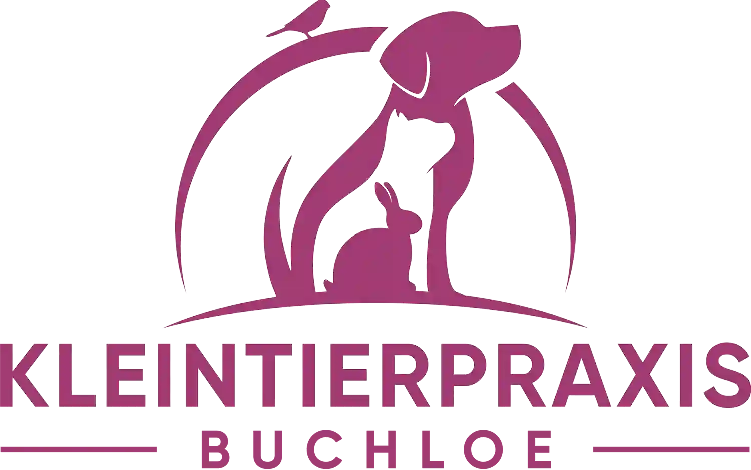 Kleintierpraxis in Buchloe